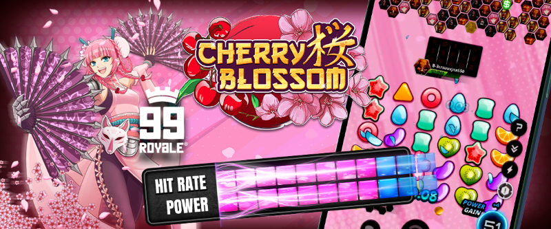 Cherry Blossom